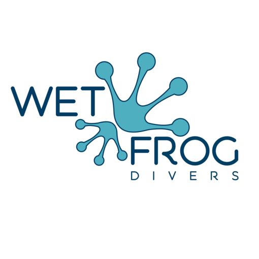 Wet Frog Divers