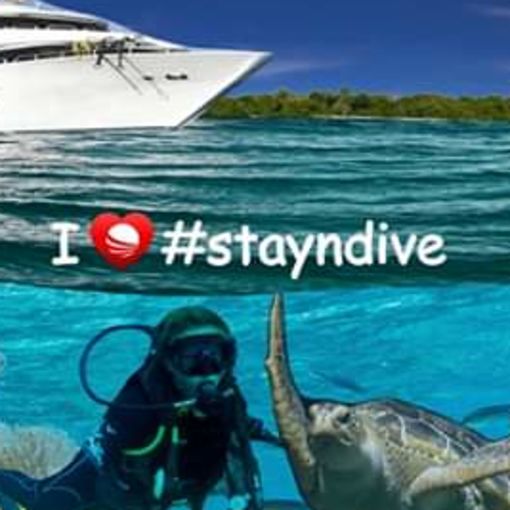 Stay & Dive