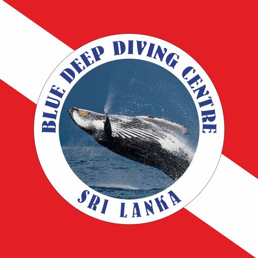 Blue Deep Diving Centre 